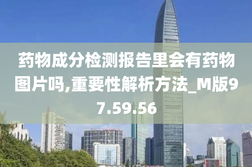 药物成分检测报告里会有药物图片吗,重要性解析方法_M版97.59.56