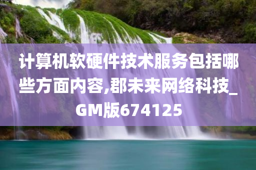 计算机软硬件技术服务包括哪些方面内容,郡未来网络科技_GM版674125