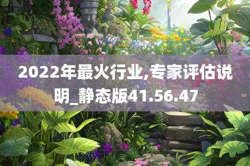 2022年最火行业,专家评估说明_静态版41.56.47