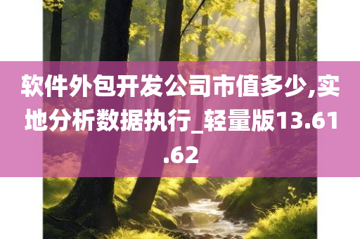 软件外包开发公司市值多少,实地分析数据执行_轻量版13.61.62