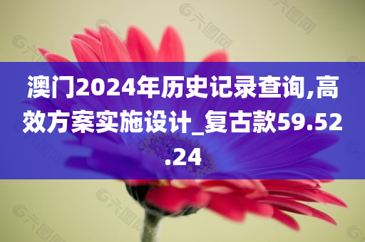 澳门2024年历史记录查询,高效方案实施设计_复古款59.52.24