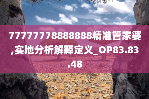 77777778888888精准管家婆,实地分析解释定义_OP83.83.48