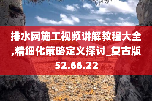 排水网施工视频讲解教程大全,精细化策略定义探讨_复古版52.66.22