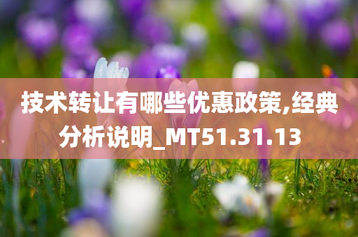 技术转让有哪些优惠政策,经典分析说明_MT51.31.13