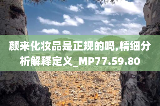 颜来化妆品是正规的吗,精细分析解释定义_MP77.59.80