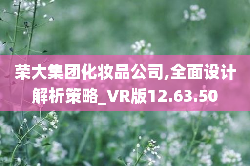 荣大集团化妆品公司,全面设计解析策略_VR版12.63.50