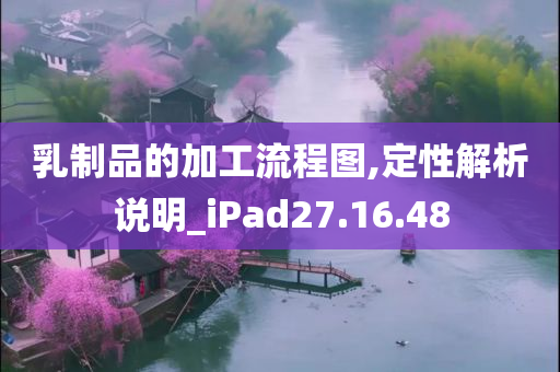 乳制品的加工流程图,定性解析说明_iPad27.16.48