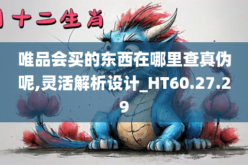 唯品会买的东西在哪里查真伪呢,灵活解析设计_HT60.27.29