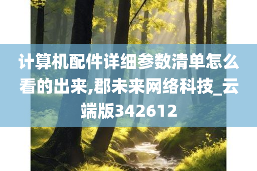 计算机配件详细参数清单怎么看的出来,郡未来网络科技_云端版342612