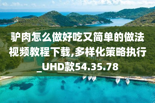 驴肉怎么做好吃又简单的做法视频教程下载,多样化策略执行_UHD款54.35.78