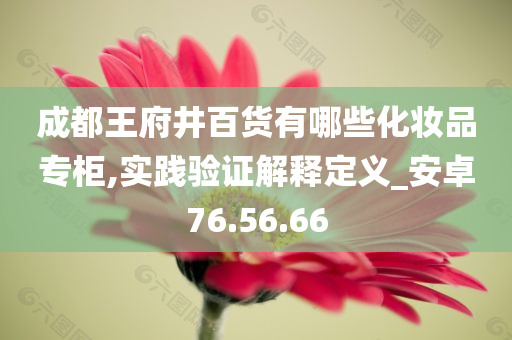 成都王府井百货有哪些化妆品专柜,实践验证解释定义_安卓76.56.66