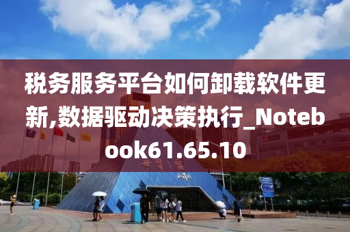 税务服务平台如何卸载软件更新,数据驱动决策执行_Notebook61.65.10