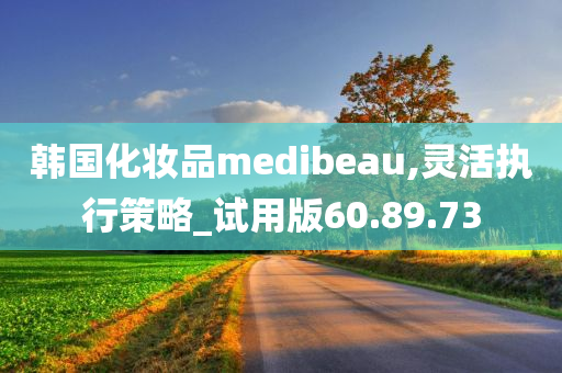 韩国化妆品medibeau,灵活执行策略_试用版60.89.73