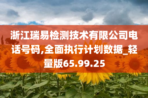 浙江瑞易检测技术有限公司电话号码,全面执行计划数据_轻量版65.99.25