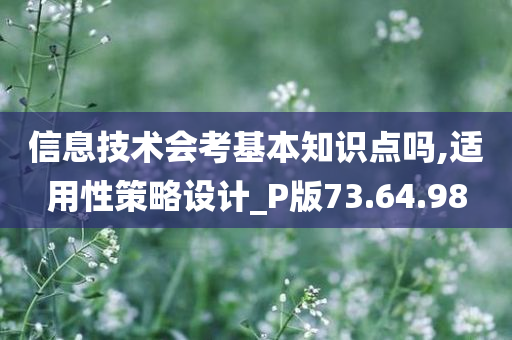 信息技术会考基本知识点吗,适用性策略设计_P版73.64.98