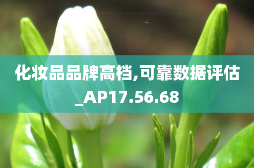 化妆品品牌高档,可靠数据评估_AP17.56.68