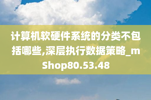 计算机软硬件系统的分类不包括哪些,深层执行数据策略_mShop80.53.48