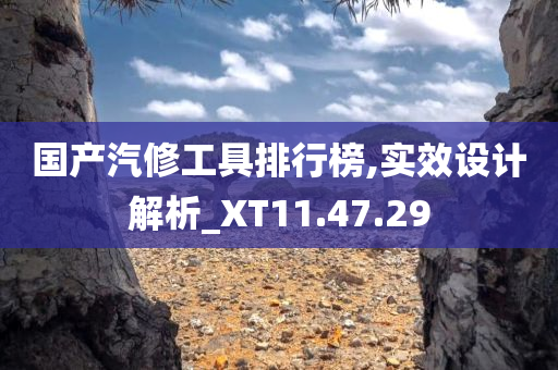 国产汽修工具排行榜,实效设计解析_XT11.47.29