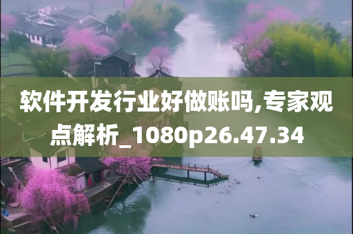 软件开发行业好做账吗,专家观点解析_1080p26.47.34