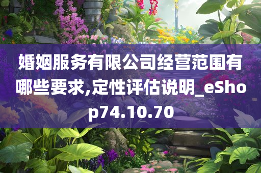 婚姻服务有限公司经营范围有哪些要求,定性评估说明_eShop74.10.70