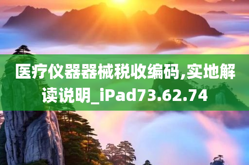 医疗仪器器械税收编码,实地解读说明_iPad73.62.74