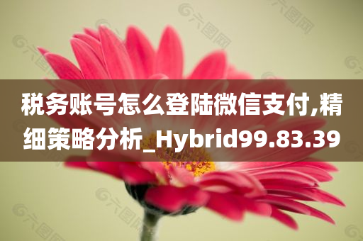 税务账号怎么登陆微信支付,精细策略分析_Hybrid99.83.39