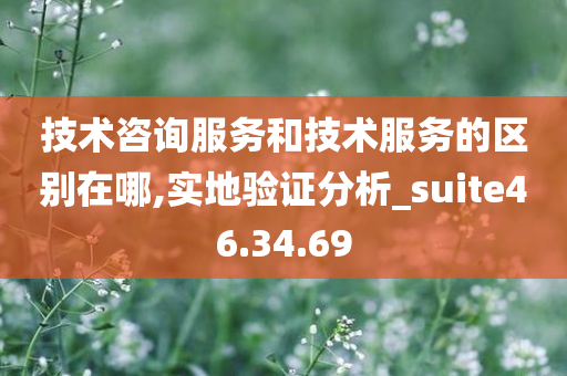 技术咨询服务和技术服务的区别在哪,实地验证分析_suite46.34.69