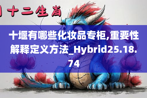 十堰有哪些化妆品专柜,重要性解释定义方法_Hybrid25.18.74