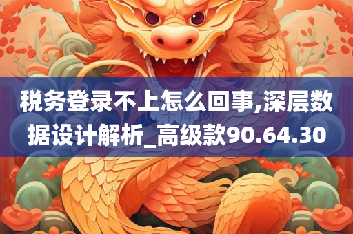 税务登录不上怎么回事,深层数据设计解析_高级款90.64.30