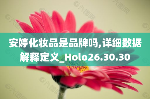 安婷化妆品是品牌吗,详细数据解释定义_Holo26.30.30