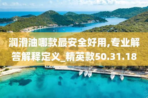 润滑油哪款最安全好用,专业解答解释定义_精英款50.31.18