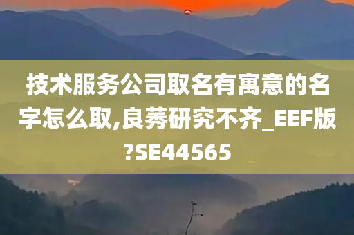 技术服务公司取名有寓意的名字怎么取,良莠研究不齐_EEF版?SE44565