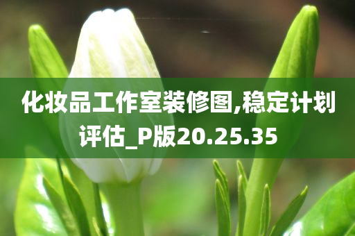 化妆品工作室装修图,稳定计划评估_P版20.25.35