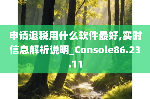 申请退税用什么软件最好,实时信息解析说明_Console86.23.11