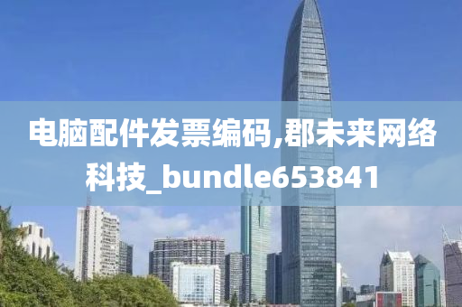 电脑配件发票编码,郡未来网络科技_bundle653841