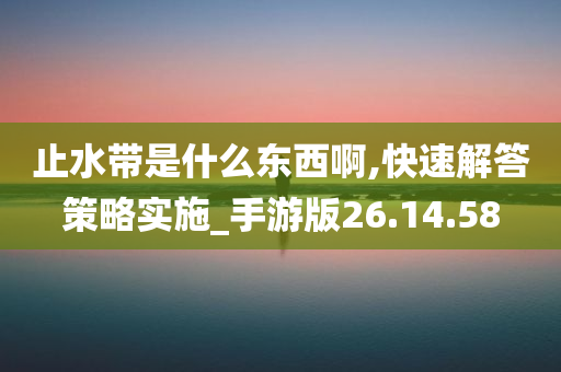 止水带是什么东西啊,快速解答策略实施_手游版26.14.58