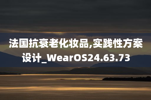 法国抗衰老化妆品,实践性方案设计_WearOS24.63.73