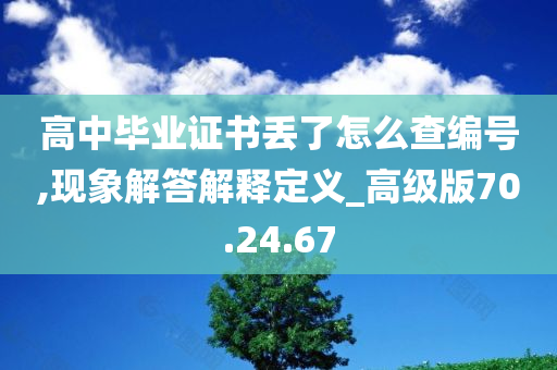 高中毕业证书丢了怎么查编号,现象解答解释定义_高级版70.24.67