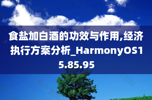 食盐加白酒的功效与作用,经济执行方案分析_HarmonyOS15.85.95