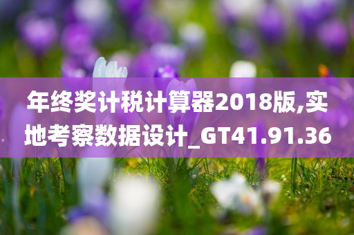 年终奖计税计算器2018版,实地考察数据设计_GT41.91.36