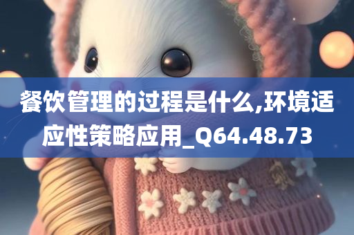 餐饮管理的过程是什么,环境适应性策略应用_Q64.48.73