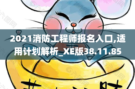 2021消防工程师报名入口,适用计划解析_XE版38.11.85