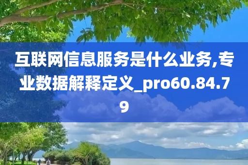 互联网信息服务是什么业务,专业数据解释定义_pro60.84.79