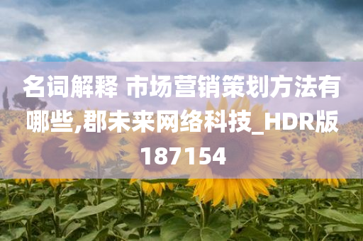 名词解释 市场营销策划方法有哪些,郡未来网络科技_HDR版187154