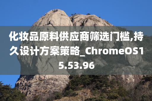 化妆品原料供应商筛选门槛,持久设计方案策略_ChromeOS15.53.96