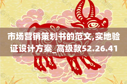 市场营销策划书的范文,实地验证设计方案_高级款52.26.41