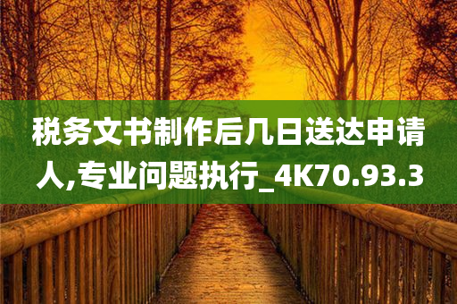 税务文书制作后几日送达申请人,专业问题执行_4K70.93.30