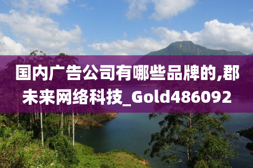 国内广告公司有哪些品牌的,郡未来网络科技_Gold486092