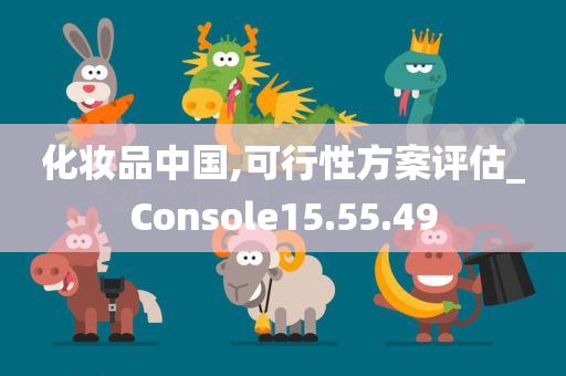 化妆品中国,可行性方案评估_Console15.55.49