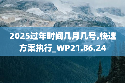 2025过年时间几月几号,快速方案执行_WP21.86.24